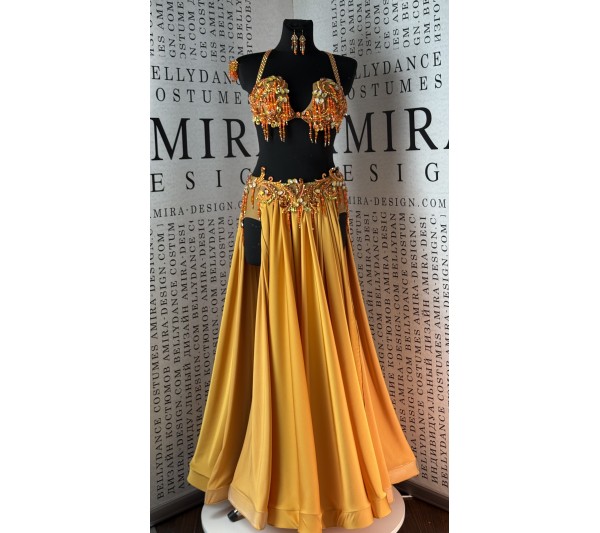 Professional bellydance costume (Classic 462A_1а--available )